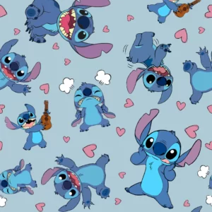 Cod 6007 Stich