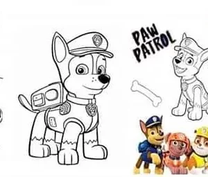 Cod.-1008-Paw-patrol