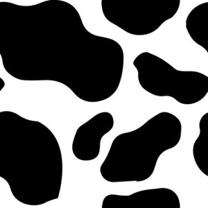 Cod 6022 Vaca